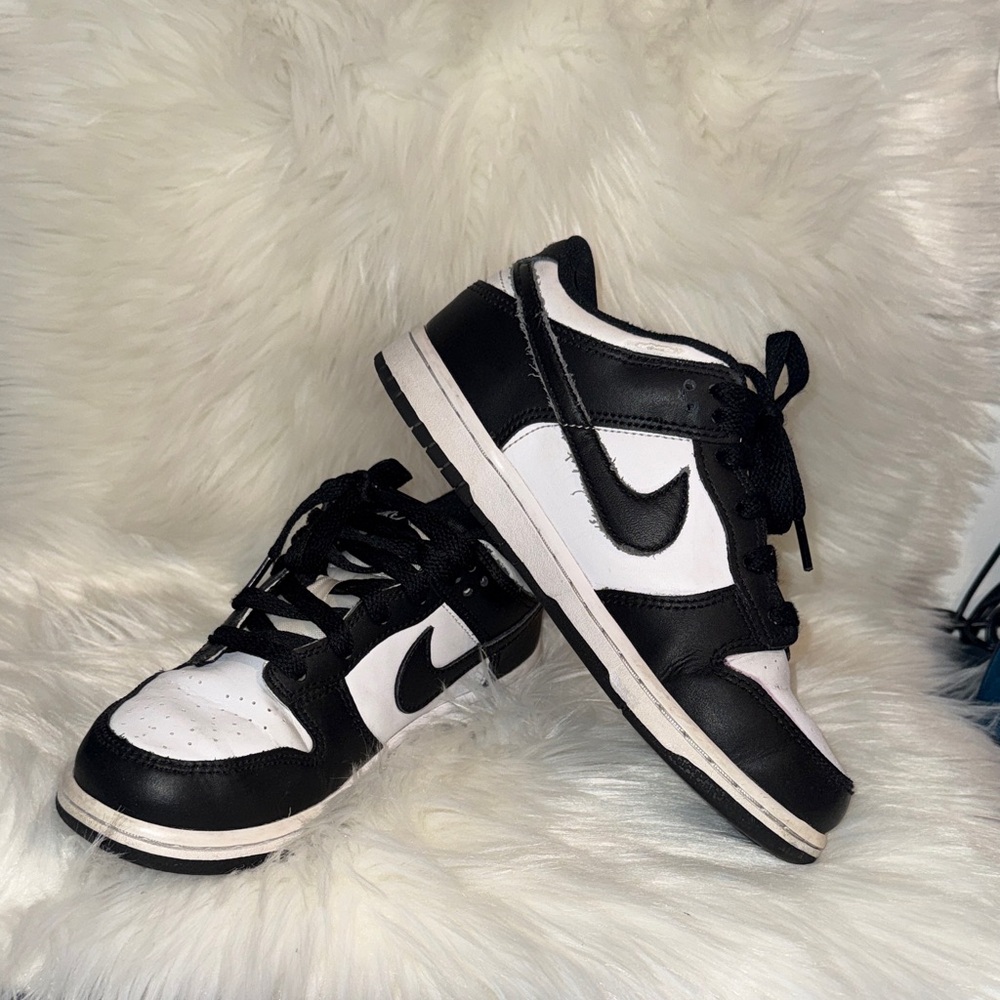 Kids Nike Dunk Low